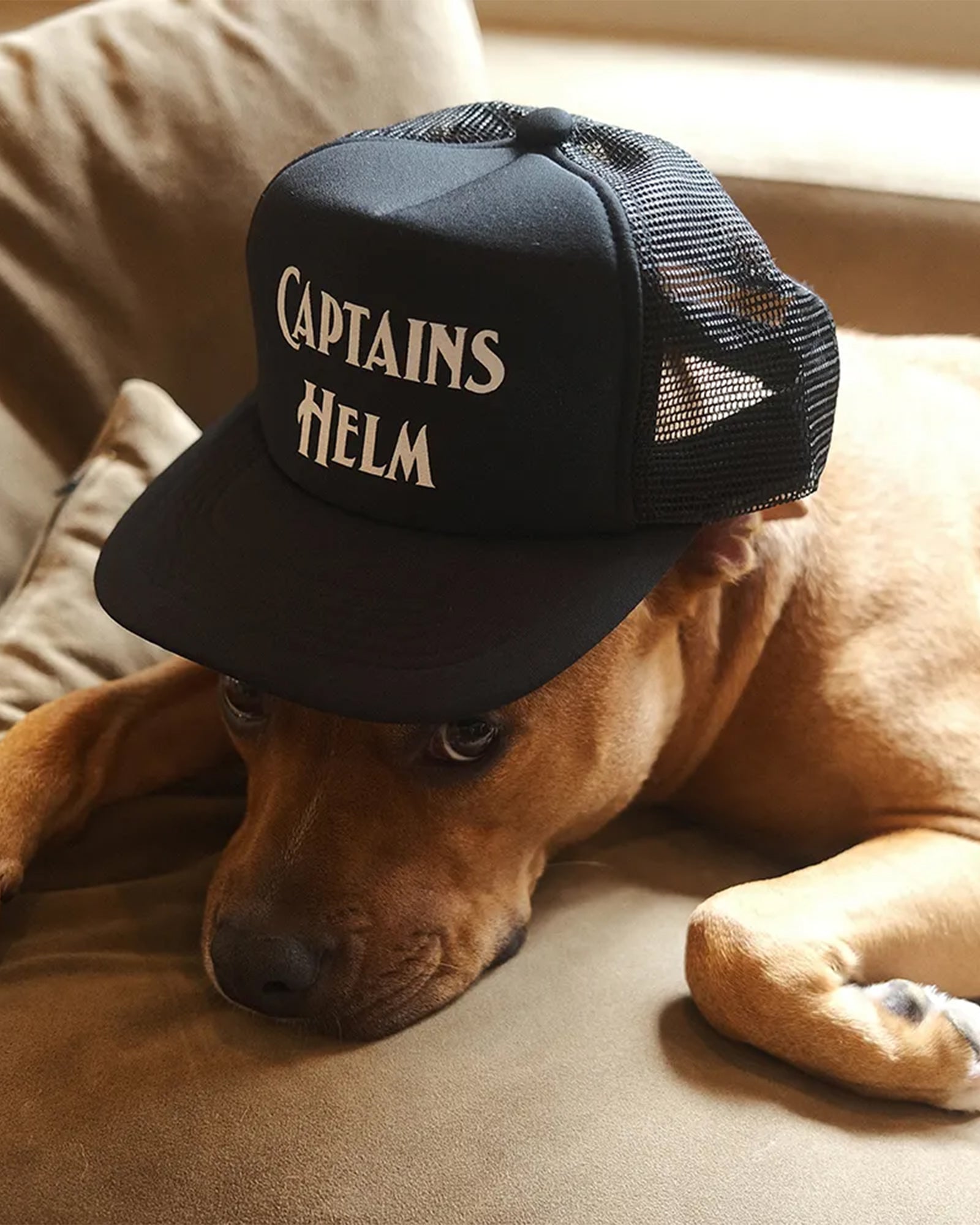 CAPTAINS HELM MESH CAP キャプテンズヘルム　キャップ CAPTAINS HELM - CLASSIC LOGO MESH CAP (BLACK) / ロゴメッシュ