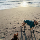 CAPTAINS HELM　#HELM DOGS HOODIE